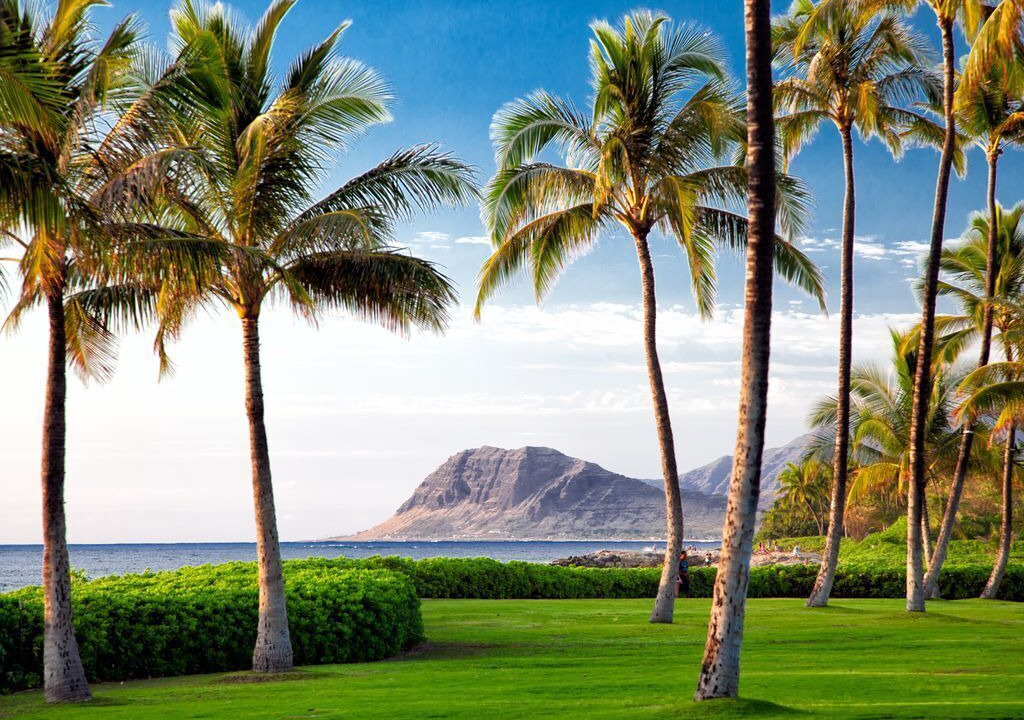 Photo of Others in Ko Olina