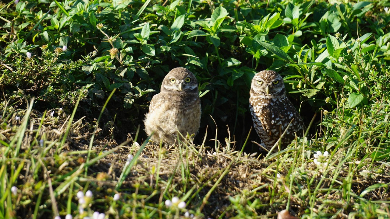 Photo of Outdoor in Yacht Club