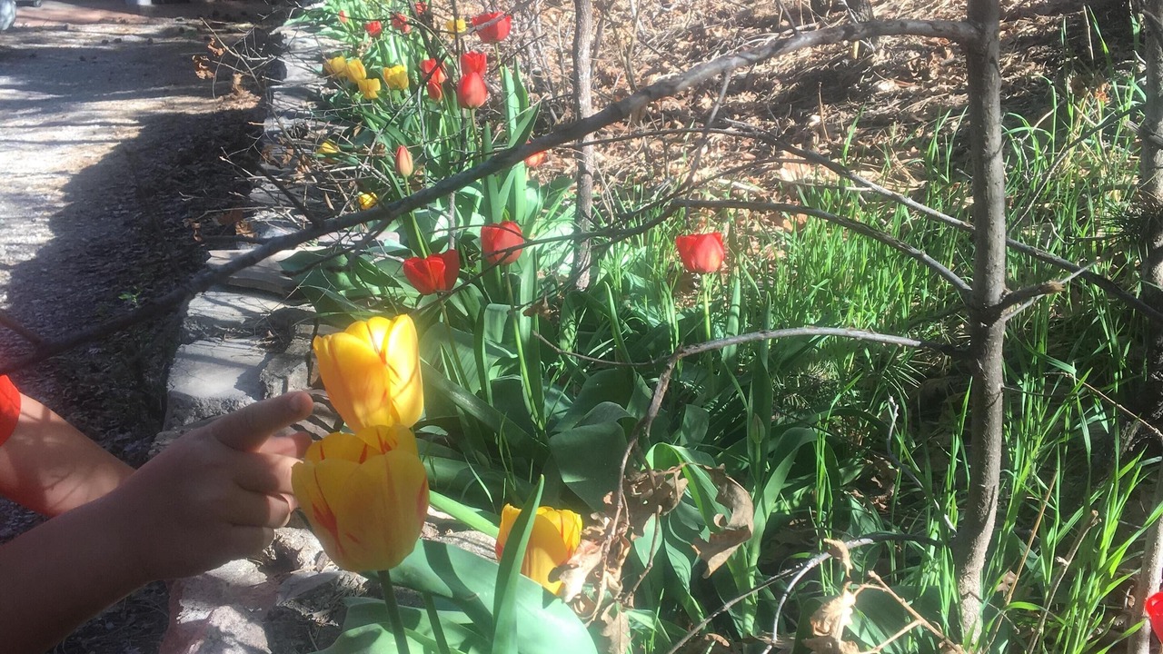 Photo of Outdoor in Sandia Park Country Club