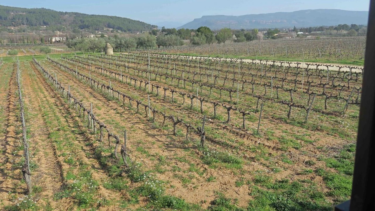 Photo of Others in La Motte