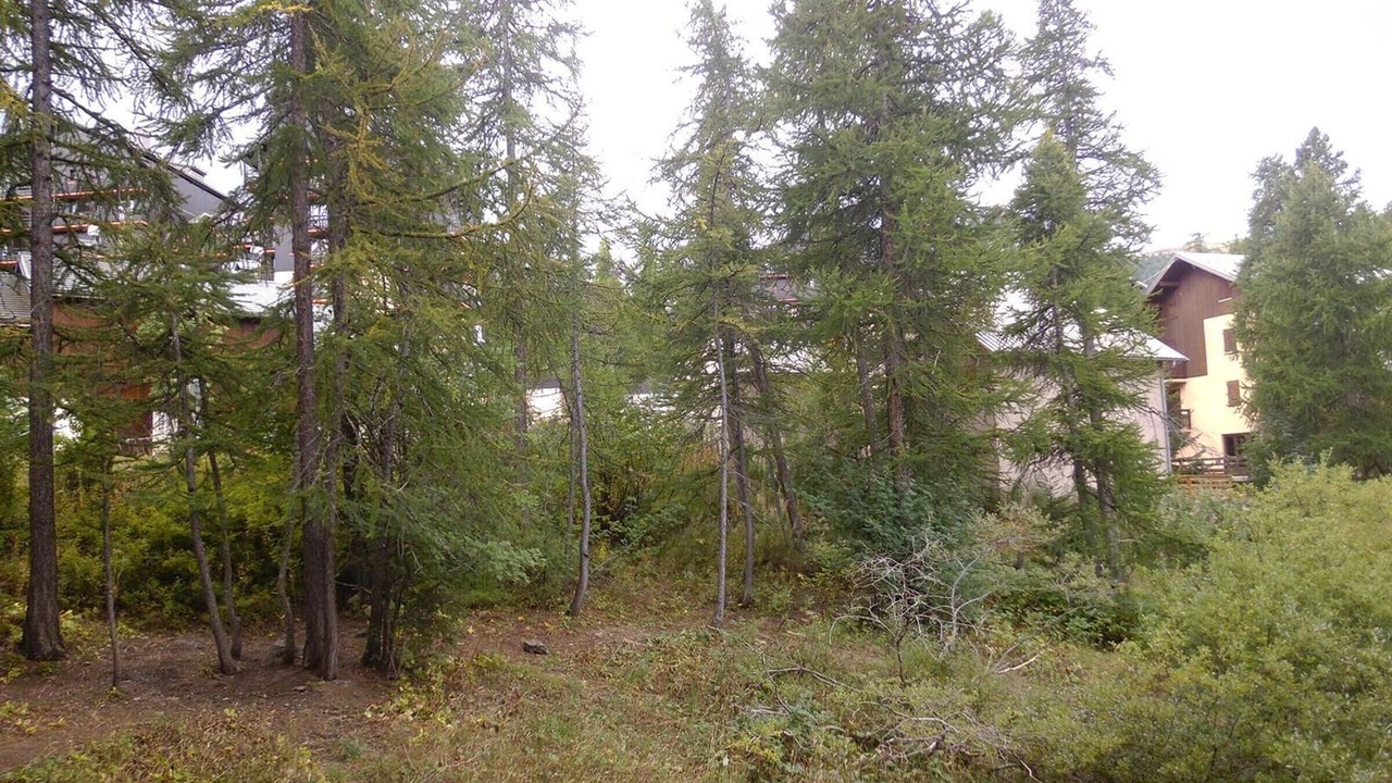 Photo of Outdoor in Risoul