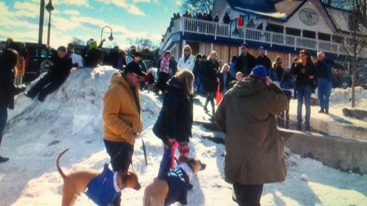 Photo of Outdoor in Stony Creek