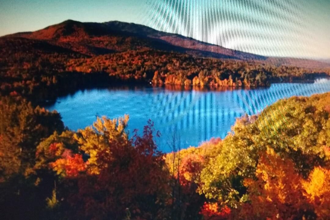 Photo of Outdoor in Stony Creek
