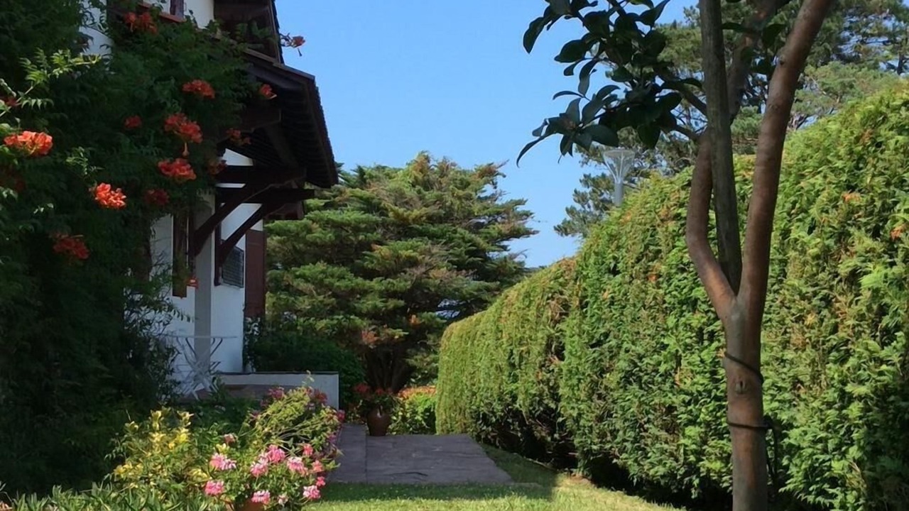 Photo of Outdoor in Ciboure