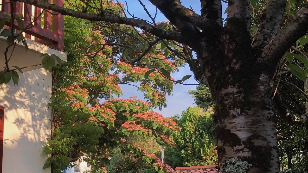 Photo of Outdoor in Ciboure