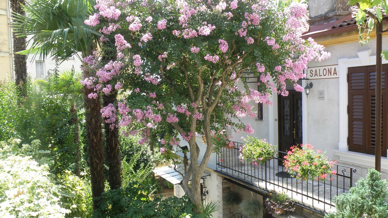 Photo of Outdoor in Opatija