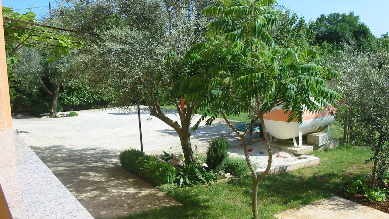 Photo of Others in Pula