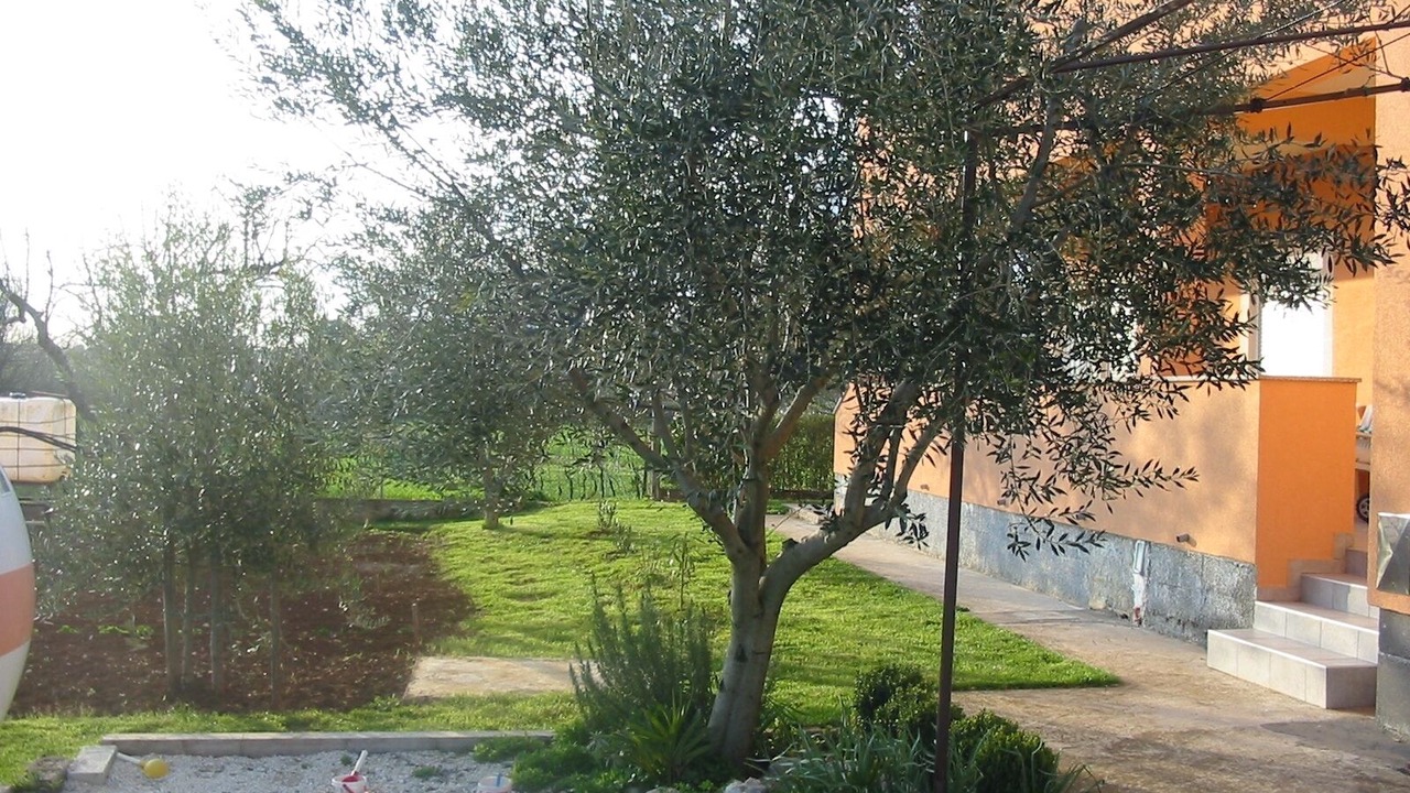 Photo of Outdoor in Pula