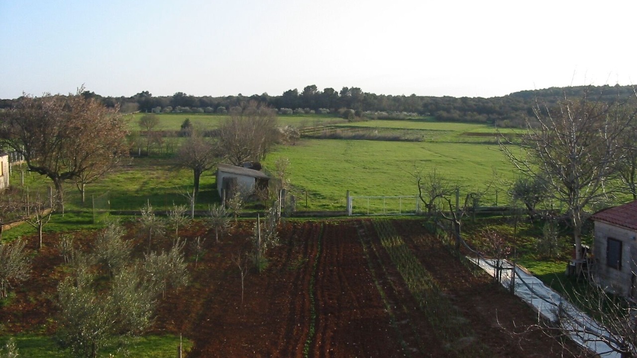 Photo of Outdoor in Pula