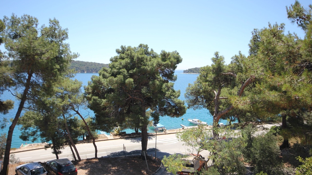Photo of Others in Cove Murtar