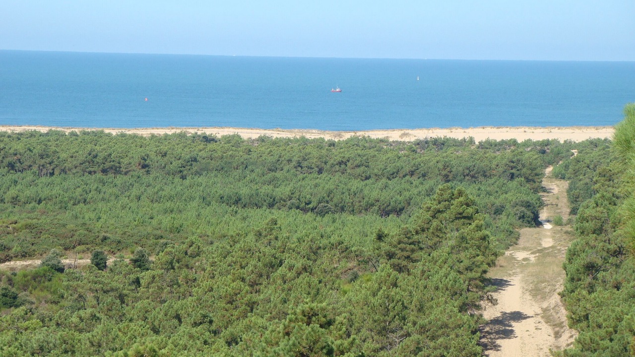 Photo of Others in Saint-Augustin