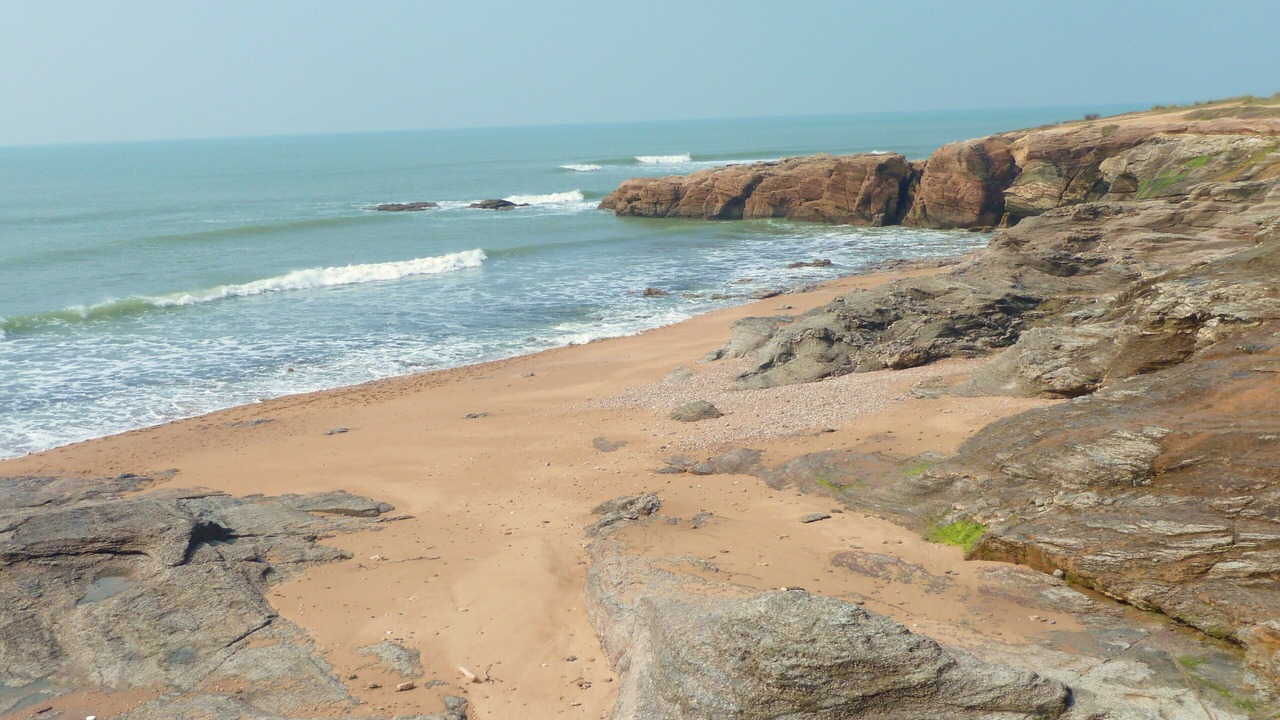 Photo of Others in Bretignolles-sur-Mer