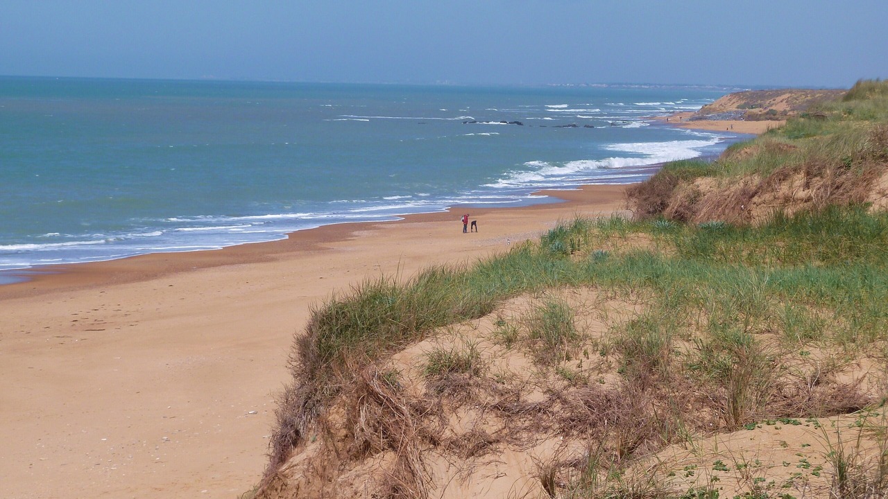 Photo of Others in Bretignolles-sur-Mer