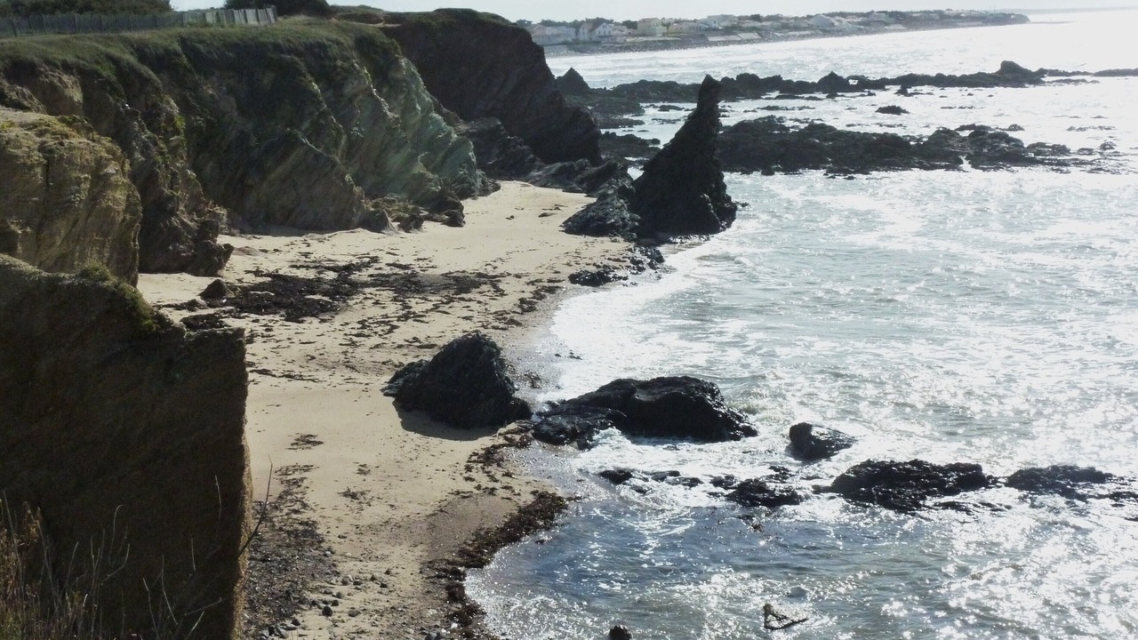 Photo of Others in Bretignolles-sur-Mer
