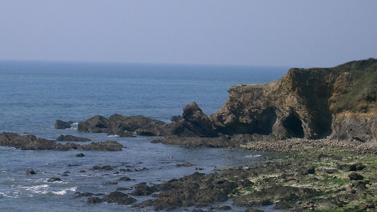Photo of Others in Bretignolles-sur-Mer