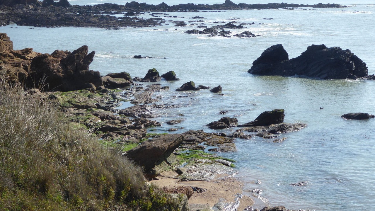 Photo of Others in Bretignolles-sur-Mer