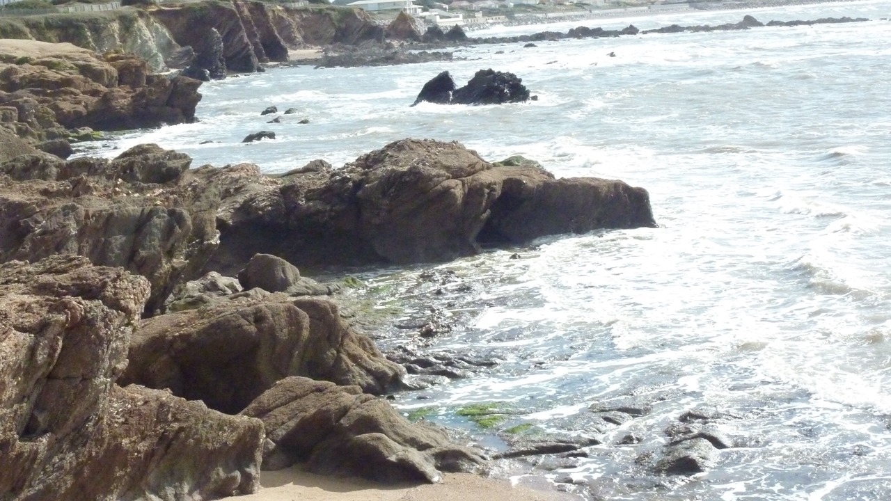 Photo of Others in Bretignolles-sur-Mer