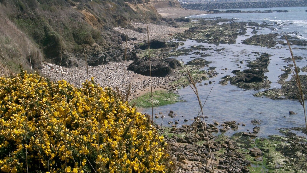 Photo of Others in Bretignolles-sur-Mer