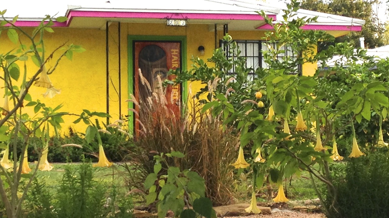 Photo of Others in Nevada Street