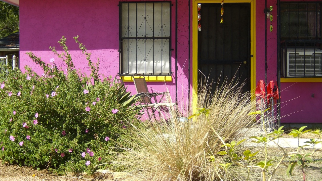 Photo of Others in Nevada Street
