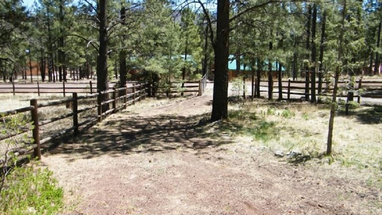 Photo of Outdoor in Greer