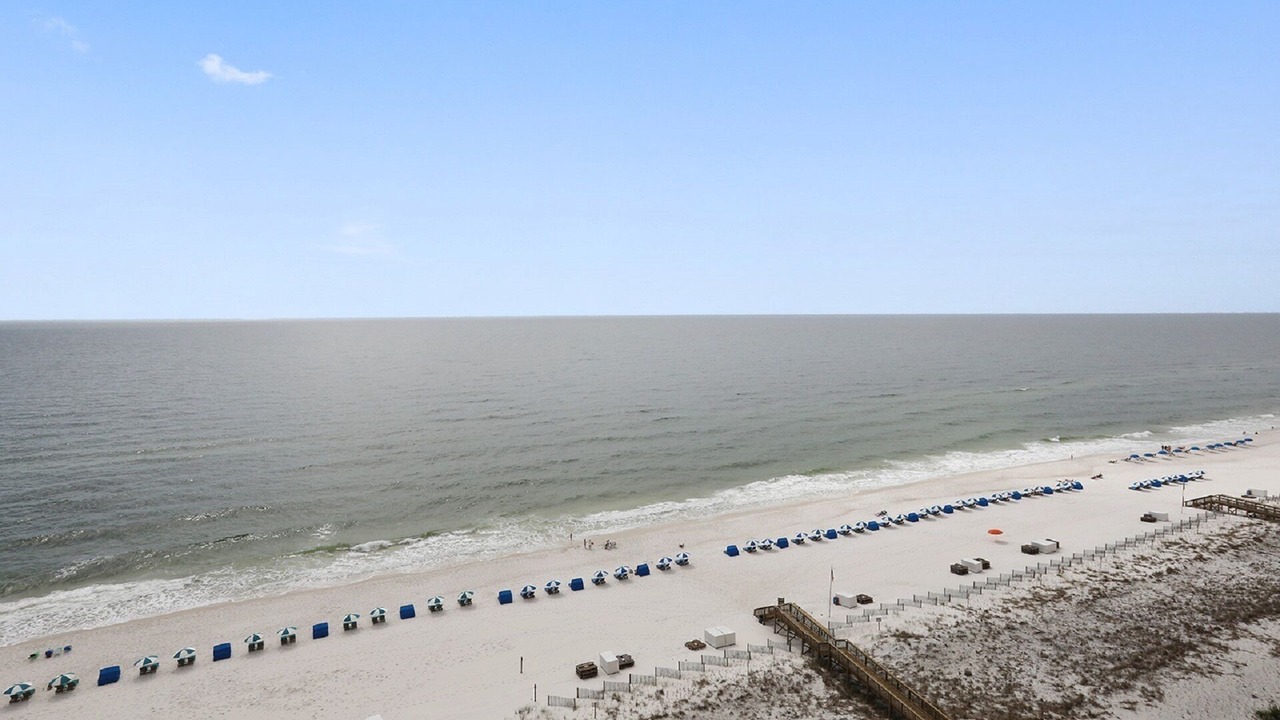 Photo of Others in Ono Island