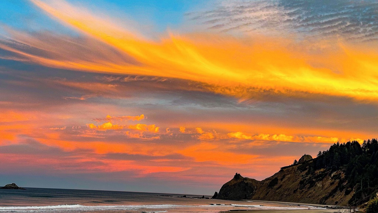 Photo of Others in Roads End