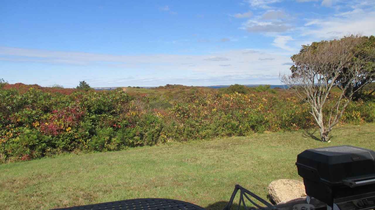 Photo of Others in Aquinnah
