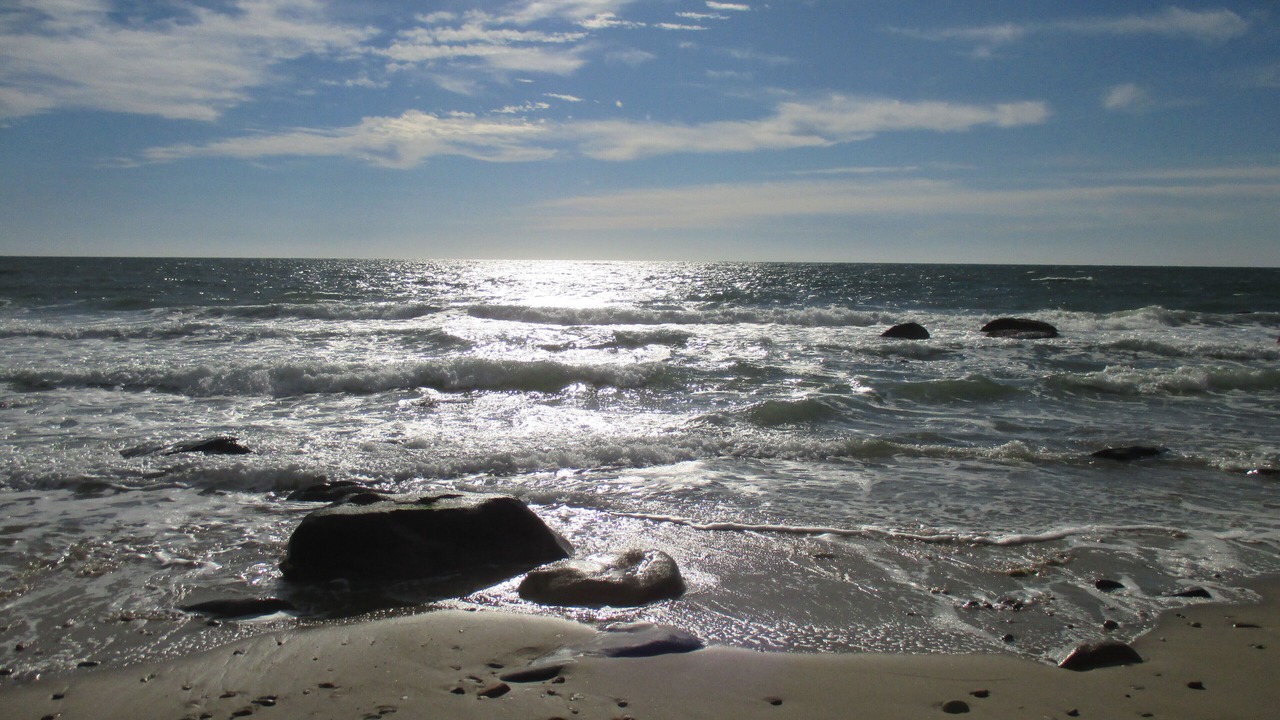 Photo of Others in Aquinnah