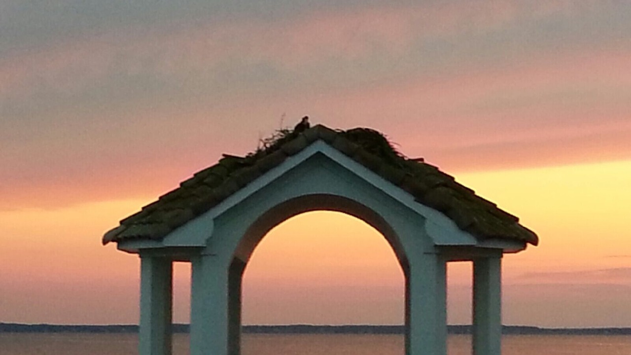 Photo of Others in Corolla