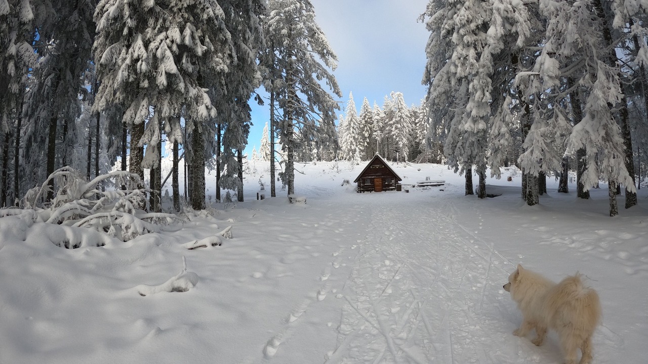 Photo of Outdoor in Thannenkirch