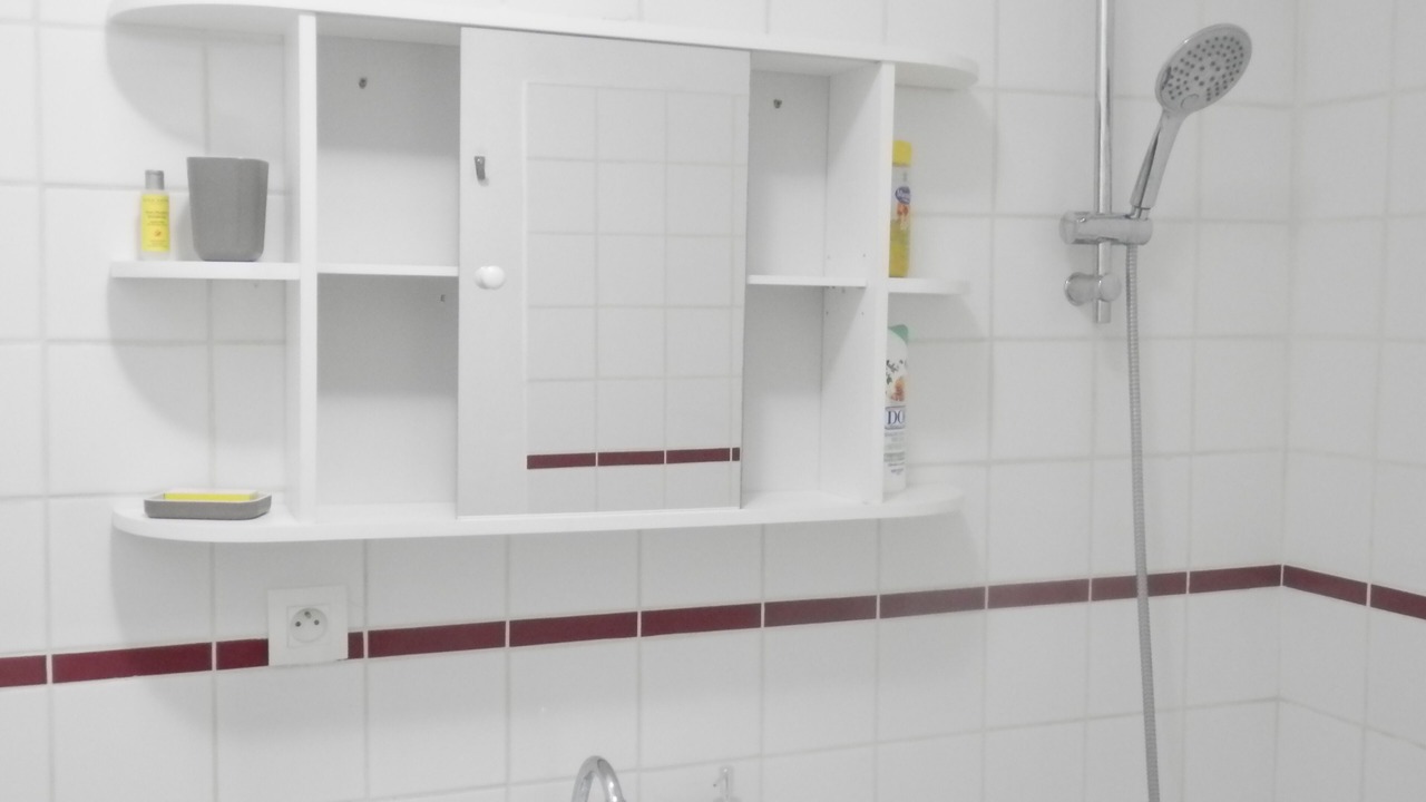 Photo of Bathroom in Centre Ville