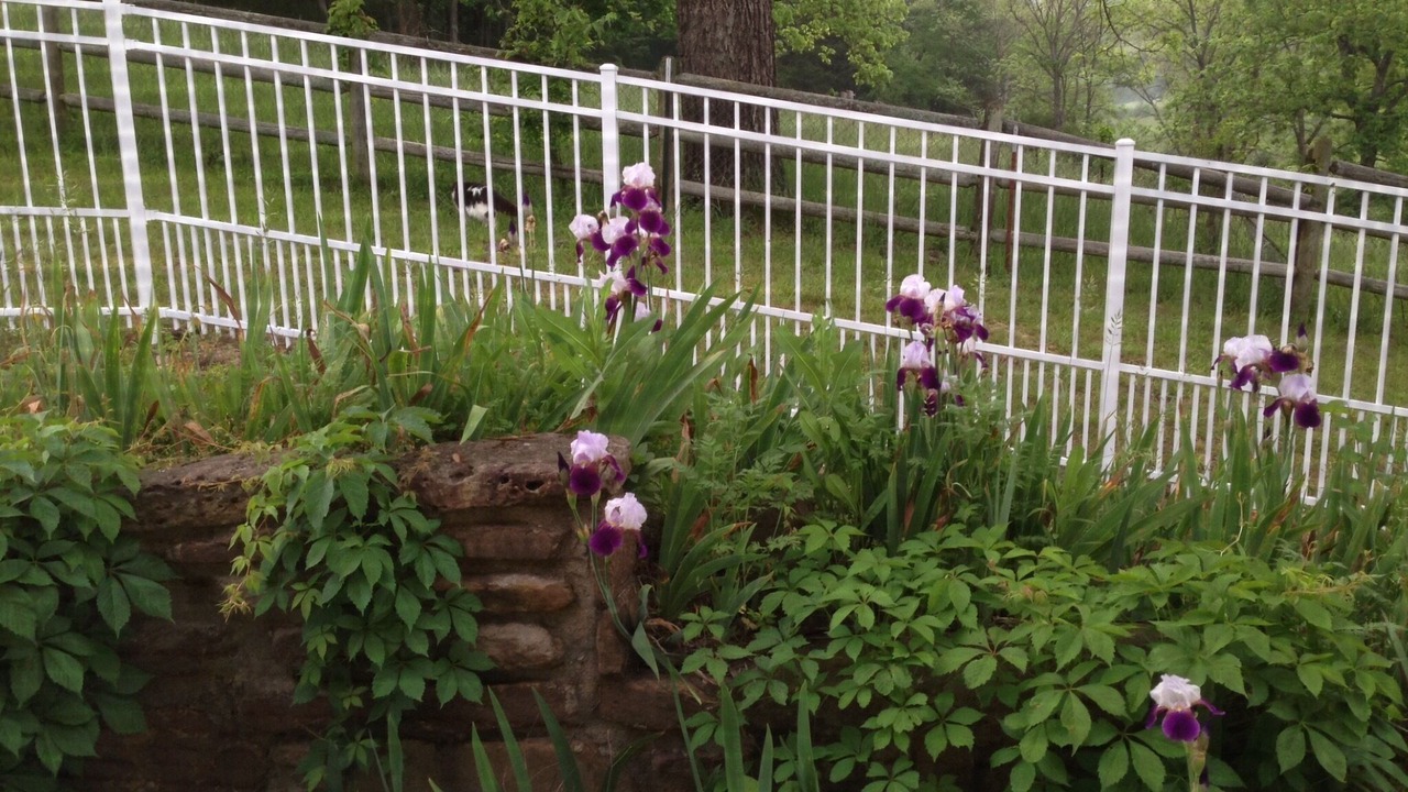 Photo of Outdoor in Huntsville