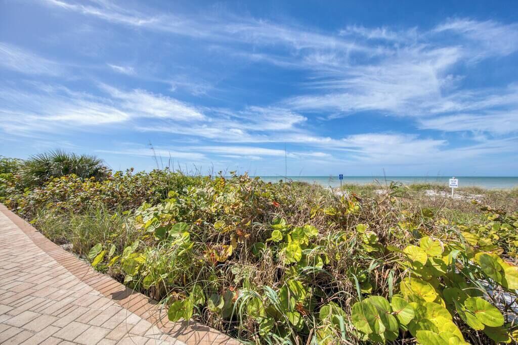 Photo of Outdoor in Belleair Beach