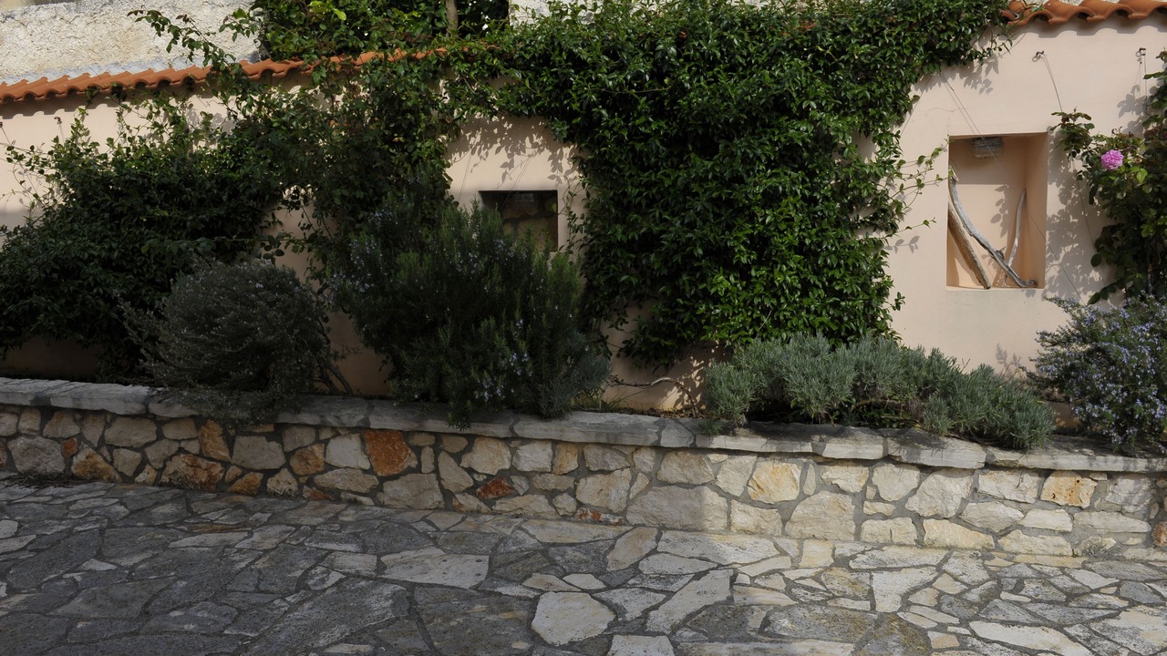Photo of Outdoor in Dragove