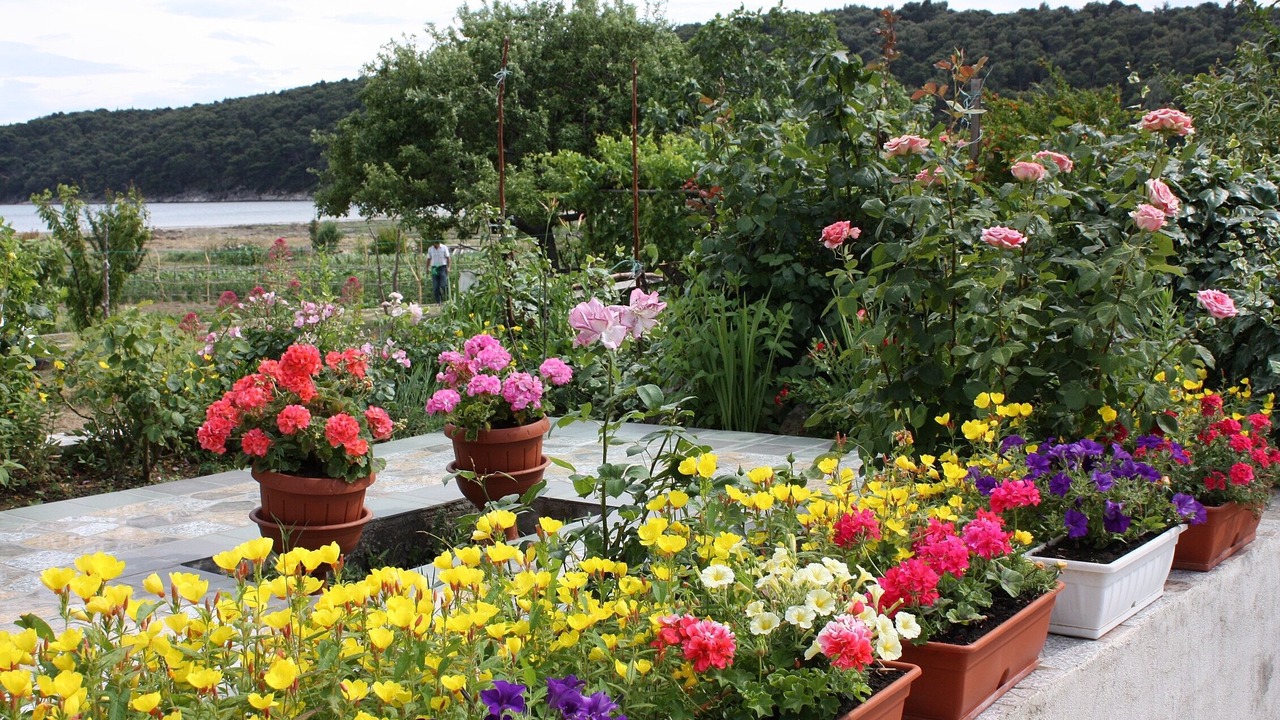 Photo of Outdoor in Suha Punta