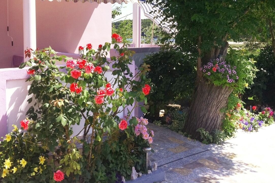 Photo of Outdoor in Suha Punta