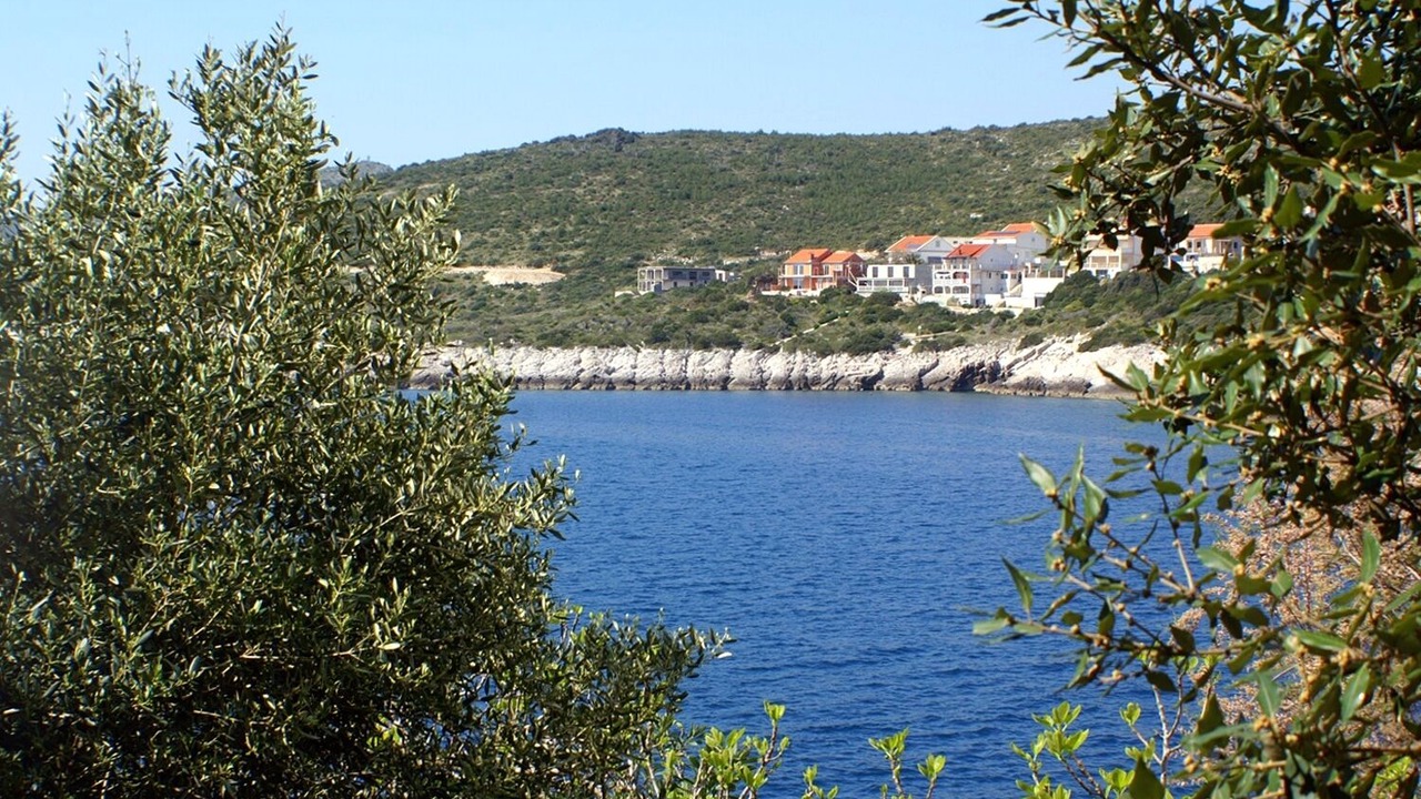 Photo of Others in Zavalatica