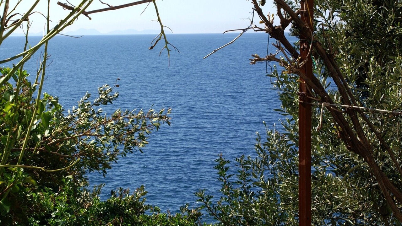 Photo of Others in Zavalatica