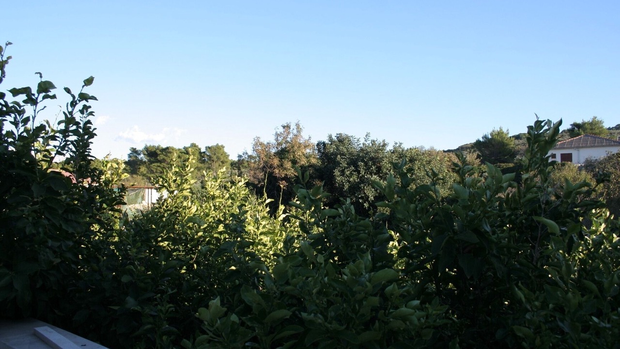 Photo of Others in Povlja