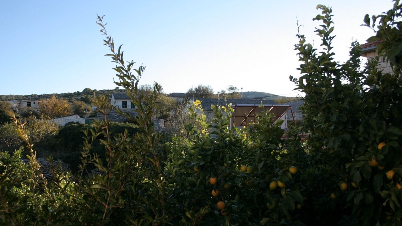 Photo of Others in Povlja