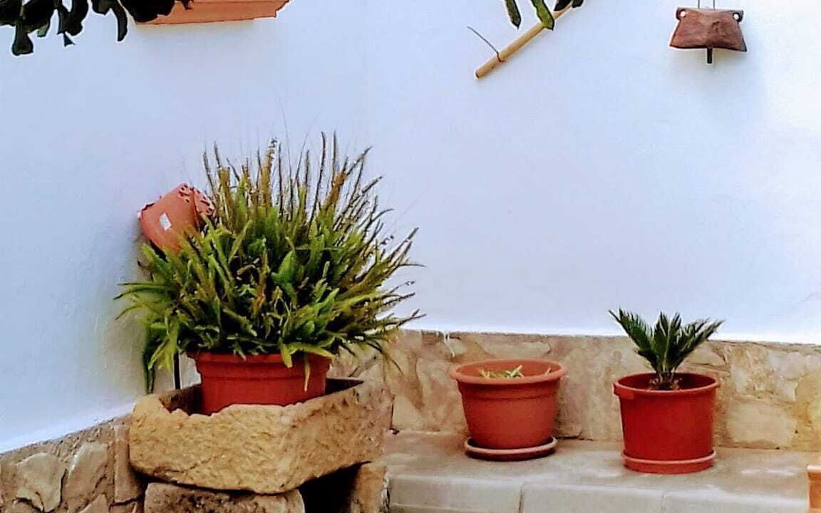 Photo of Outdoor in Javea