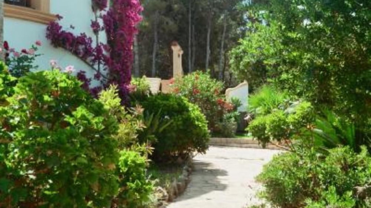 Photo of Outdoor in Javea