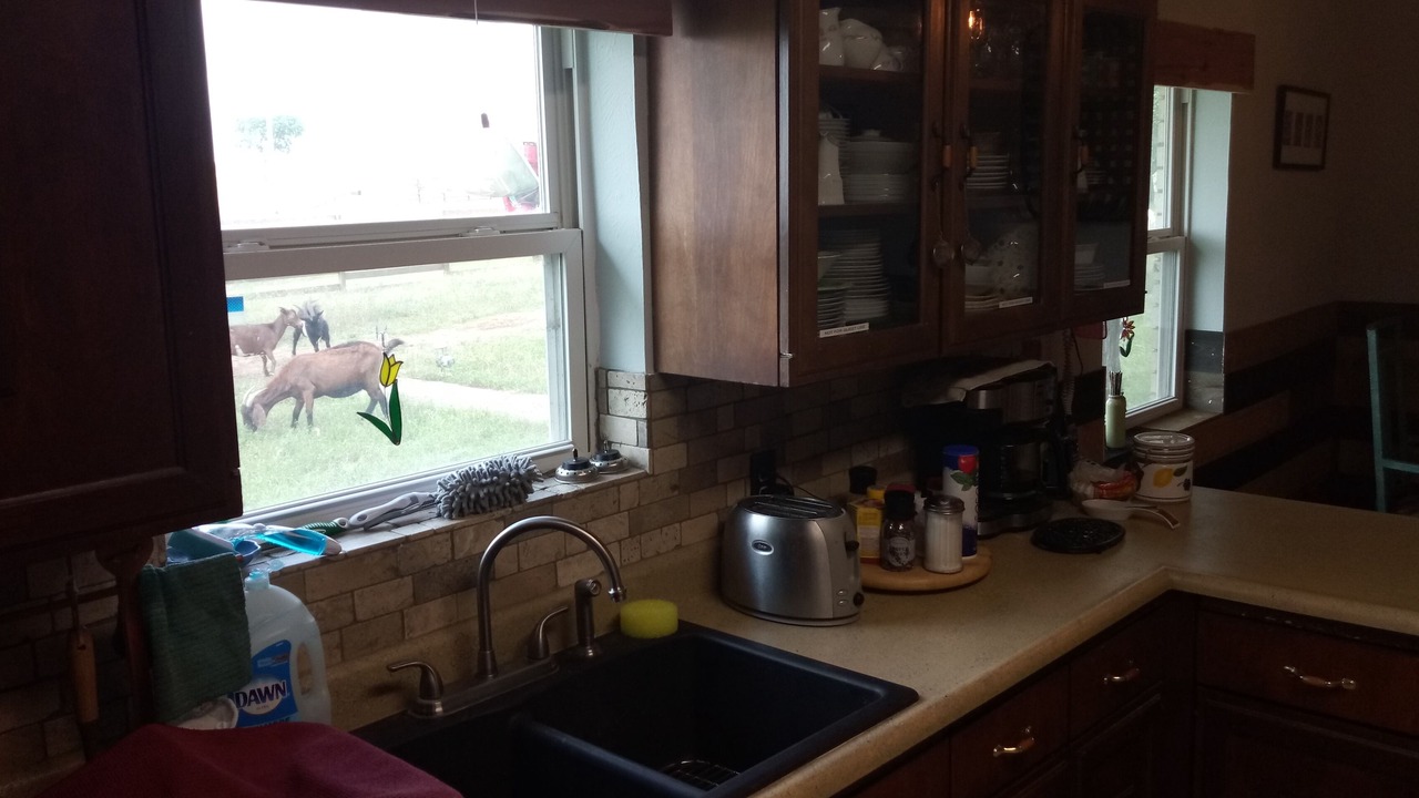 Photo of Kitchen in Dublin