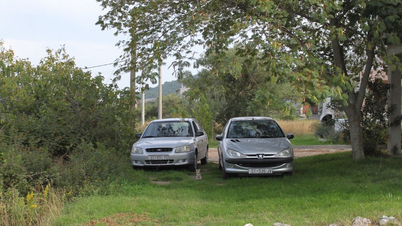 Photo of Others in Mrljane