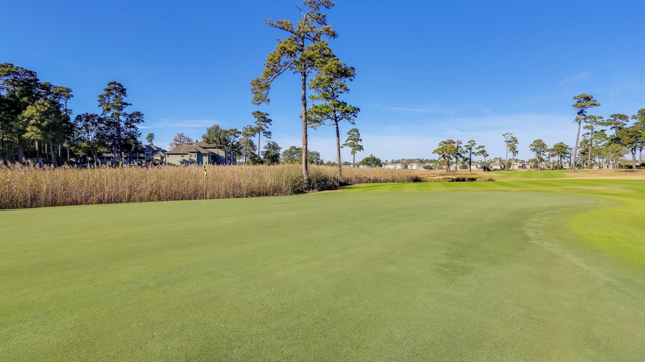 Photo of Others in North Myrtle Beach