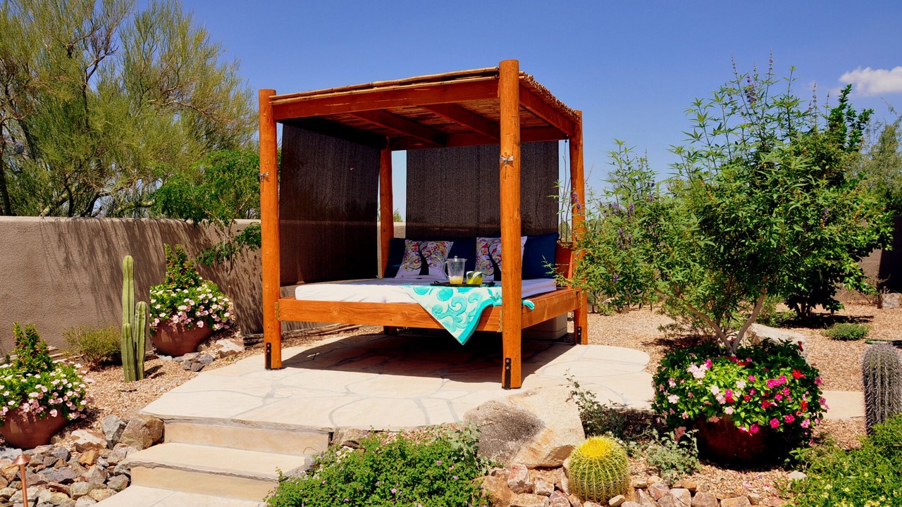 Photo of Outdoor in Tortolita