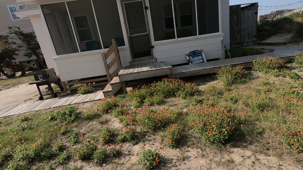 Photo of Outdoor in South Nags Head