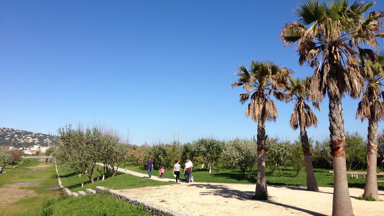 Photo of Others in Sete