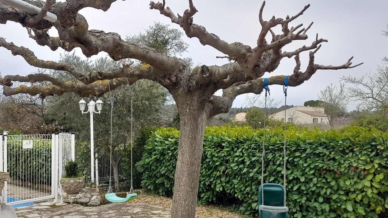 Photo of Outdoor in Montagnac